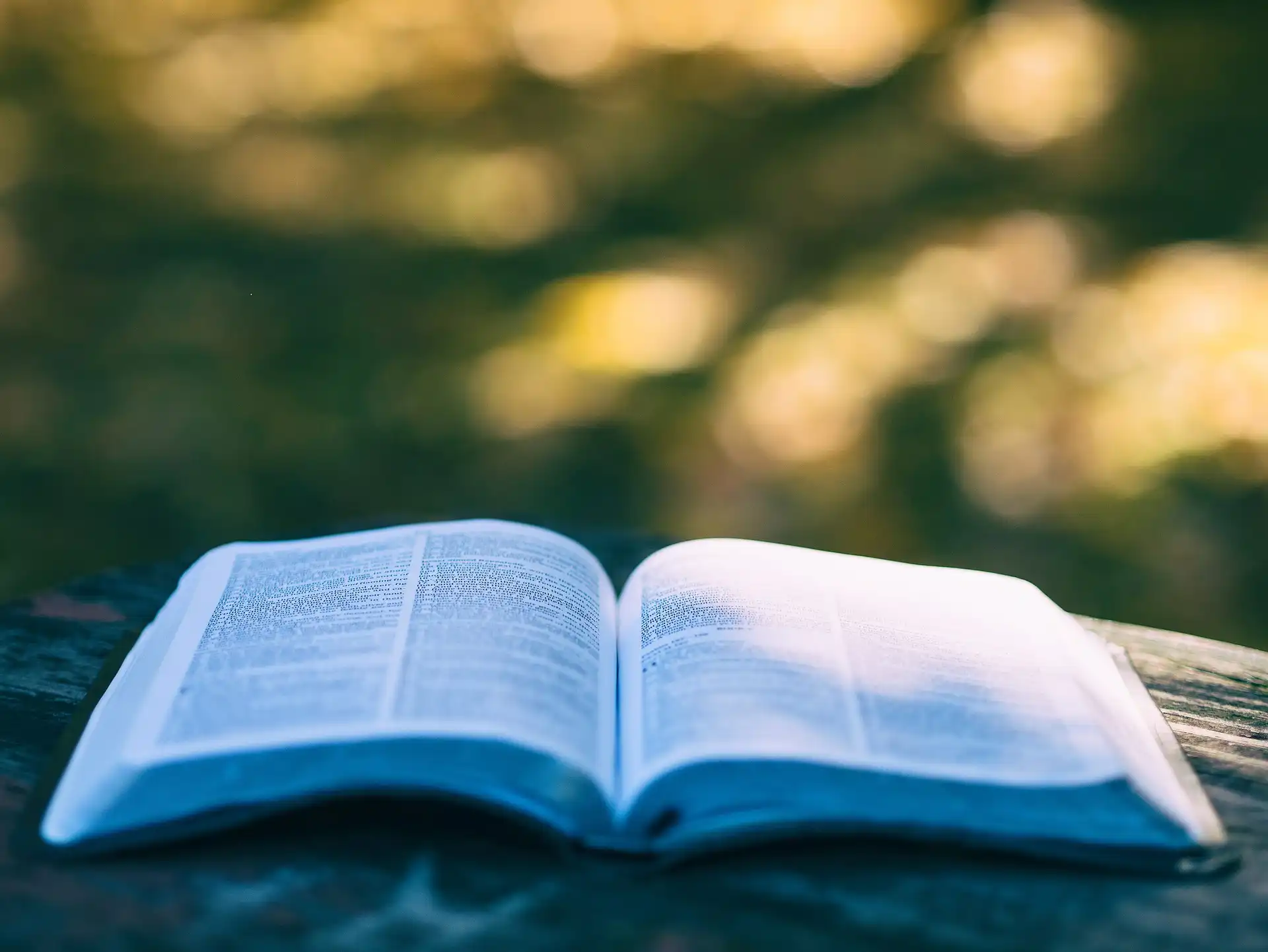 Open boek in zonlicht
